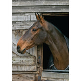 '17 Hands' Greetings Card By Charles Sainsbury-Plaice